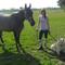 Matilde H