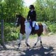 team Mikki og Maja! :D *