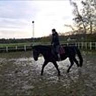 Julie Vagnkilde <3 .