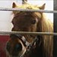 du høre til i mit hjerte nusser <3 <3 .