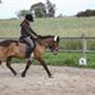 Sir Arthur (Min bedste ven) !