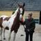 Lyneborg, Kilgast´s Red Romeo<3