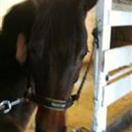 Katrine&Chago<3 "KDR" ;D .