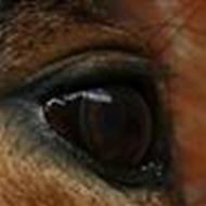 ~Kirsten HH og Matso~ .