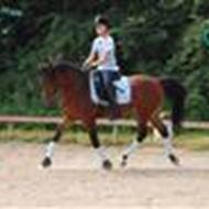 Team-Cecilie,Majoor&Ollie<3 .