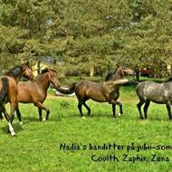 Nadia - Nu med 3 dejlige Drenge og 3 små Damer .