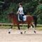 Team-Cecilie,Majoor&Ollie<3 .