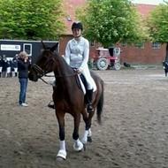 En gang traver, altid traver<3