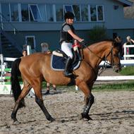 Sofie Karoline Pedersen