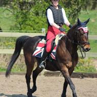 ~ Cecilie Beyer & Dark Stallion  ~