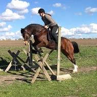 Hestetossen nu med hest igen