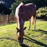 Team Tulstrup. Emma G