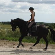 •Laura & Monty!<3•