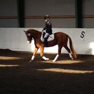 Helene og Nice Surprice