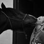 Celina'&Chamsefyren <3