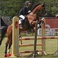 Tina - Team-tosserne.dk /