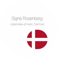 Signe Rosenberg