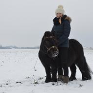 Nikoline & de små ponyer