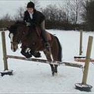 *Højgårds springteam* WGDG <3 .