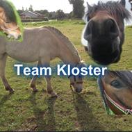 Team Kloster