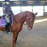 Anna <3 Arian <3 Charlie *mgr* L