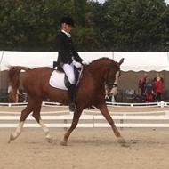 Laura og ponybanden!