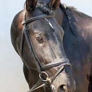 Charlotte Marie Olesen H