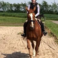 Team HOP - Loui & Krikkerne .