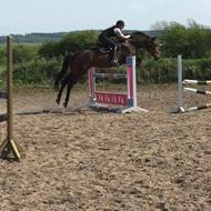 Johanna Marie Dalsgaard