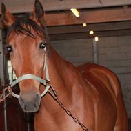 Jeanette&Mikado! *Team Soulmates*<3 .