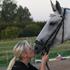 Gitte Stolling