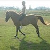 Malene  H