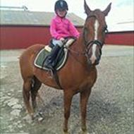 Sigrid!Felix min øjesten!<3<3<3:-) D