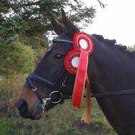 Julie M og Maybee :-)