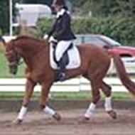 Sanne *Klubmester 2012 Dressur og Spring