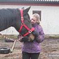• Tornado Adoa & Ann Søgaard •