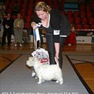 Anjamie og Joe joe - Team Sgr .