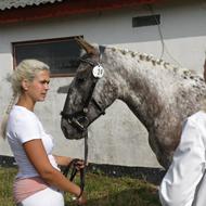 Hanna S