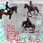 De brune ponyers Klub *GER* .