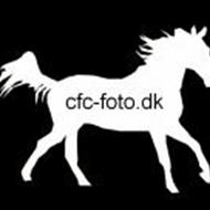 cfc-foto