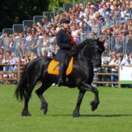 Team Barock