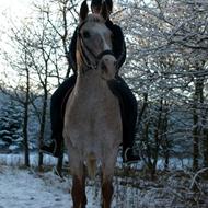 Danielle Faurbye- Athene