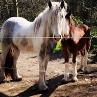 Katia - Conrad,Buller&Wiz<3