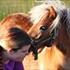| Mollie&Fiffi |