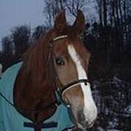 *Sarah* ¨˜°º•¤Team hesteklewa¤•º°˜¨ !