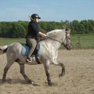 Sette - hende med super parten - godt nok er den s