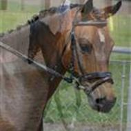 'Team Rikke&Nanna:b'... og Forevigt!< 3