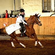 Maike og de flyvende ponyer