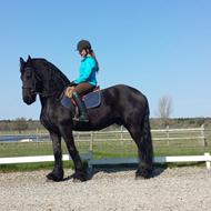 Sandra<3 Waldo<3(frieser)<3