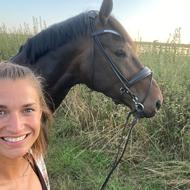 Pernille H